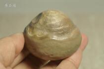 Egyptian protein agate original stone boutique hand play Stone ML495 (no bargaining)
