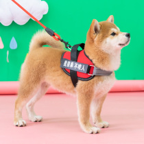 Dog traction rope Chest Harness Vest Type Large Dog Explosion punching collar Pets Out of Walking Dog Rope