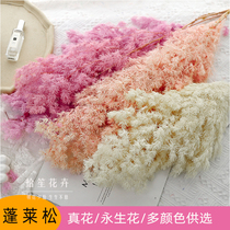 Penglai pine dried flower eternal flower aromatherapy candle diffuser stone light luxury flower floating living room diy floral wedding flower arrangement