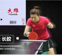 Dawei Savika long rubber big grain Sevika racket Sevika Zhou Xintong single rubber skin
