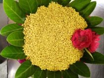 Natural men pollen rape pollen 500g buy 5 Get 1