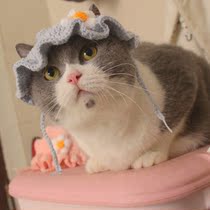 Cat and cat kindergarten cute hat hand-woven pet flower hat cat ear headdress beauty short English short orange cat
