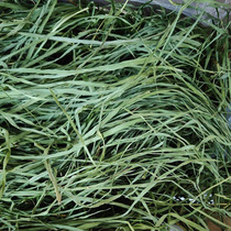 2022 Drying Whole Leaves South Titian MoMoses Grass 1 1000gr Dragon Cat Rabbit Herd Guinea Guinea Pig Dry Grass Gross 1KG