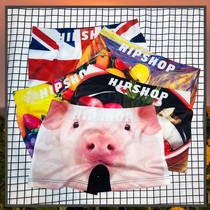 Daily hipshop hipster quick-drying 3D spoof cat fruit art boxer short youth incognito underwear