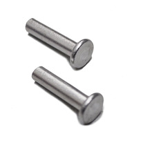 Iron rivet flat head GB109 steel rivet flat head rivet solid rivet M3M4 galvanized Rivet