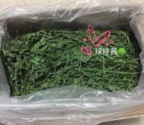 Ball Balls Jam COVERED 21 years New grass A grade drying clover dragon cat rabbit Dutch pig hair weight 1kg high protein