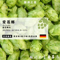 Elena hops Ariana home brew beer imported granular hops tropical fruit flavor turbid recommendation