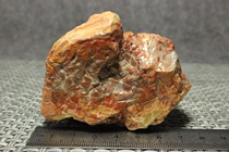 Horse tooth Stone #65 Gobi Alashan color jade color stone open Python desert paint old skin agate 1