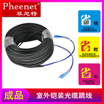 Finit 2-core SC-SC outdoor armored optical cable Overhead welding-free optical fiber jumper finished line Carrier-grade outdoor extension cable 4 6 8 12-core