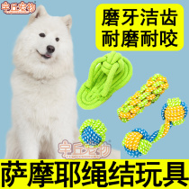 Samoyed special knot toy with rope set set of bite-resistant molars puppies adult large dog supplies