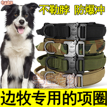 Special dog traction rope collar collar collar collar collar adjustable high-end anti-lost large dog puppy supplies