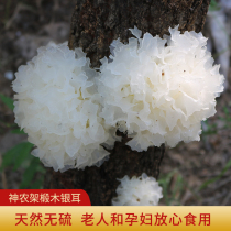 Tremella dry goods basswood snow fungus fresh white fungus wild sulfur-free premium 250g