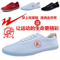 Double star martial arts shoes Tai chi shoes practice shoes Sports shoes beef tendon sole canvas shoes Fitness morning exercise shoes Dance shoes