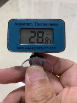 Aquarium thermometer fish culture Liquid crystal water thermometer Tropical Fish Diving Cup electronic thermometer aquarium