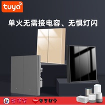 Tuya Smart Single Fire Switch ZigBee Magnetic Retention Keys Large Plate Rocker Zero Fire Shared FRP PC Lettering