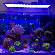 Lai Yide 3WLED seawater coral lamp small sea cylinder supplementary light mobile phone Bluetooth dimming timing Sunrise Sunset