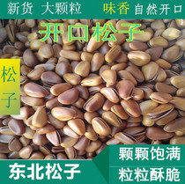 New season opening Northeast Pine nuts hand peeling large particles opening pine nuts 500g specialty nut snacks fried goods