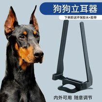Dog Ears Stand Ear Instrumental Corky Dog Puppies Dubin Dubbyn Dogs Black Wolf Dog Deri Puppy Earbuds deities
