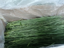 (Co Majia high-quality pasture) 2 boxes * 2020 high-quality extra-grade wheat grass fragrant green crisp without grass