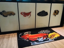 Dragon fish carpet Crystal velvet anti-skid mat ornamental fish around fish pattern tiger fish Ground mat