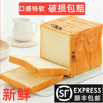 Toast bread sandwich bread special sliced material ingredients white toast whole wheat bread breakfast box Commercial