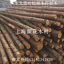 Current Stock Supply Deciduous Pine Wood Pile Small Round Wood Landscape Riverway Wood Pile Deciduous Pine Log Pile Wood Pile Wood Pile Wood Pile Wood Pile Wood Pile Wood Pile Wood Pile Wood Pile Wood Pile Lark Wood Pile Wood Pile