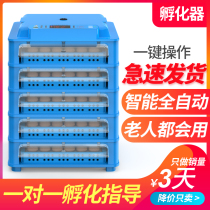 Egg incubator small household type automatic smart incubator incubator incubator incubator incubator machine for chicks