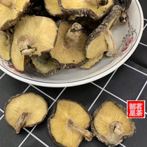 2020 New Mushroom Wild Mushroom Yuebei specialty Shaoguan basswood mushroom with roots Shixing mushroom 500g bulk