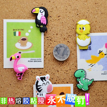 5 soft glue soft sprout studs I color nails creative Cork big head pushpins can nail wall nails