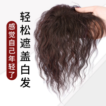 Wig piece female head hair replacement piece short curly hair cover white hair thin fluffy corn whisker bangs replacement block