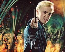 Tom Felton (Tom Felton) Harry Potter poster autographed photo with certificate