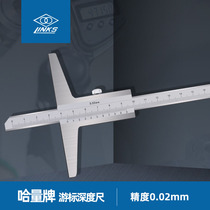 Ha volume depth ruler depth digital display ruler with a meter depth gauge 0-200 0-300 0-500mm