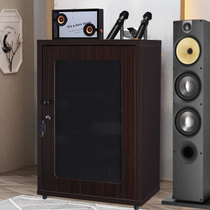 Dan Lemek power amplifier cabinet cinema equipment rack KTV professional audio Cabinet aviation cabinet