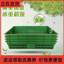 -Supermarket vegetable placement frame cooked glue plastic fruit shop shelf box display frame display basket large frame basket super-