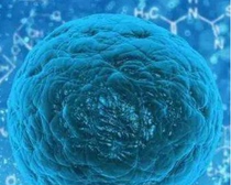  Education version Cloud computing Non-profit scientific research oncomine database mining application Second-pass mailbox customization