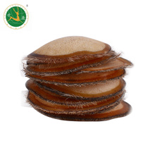 World Deer Antler White Powder Pieces 10g Sparkling Male Deer Furry Pieces Authentic Velvet Pieces Gift Box Jilin Sika Deer