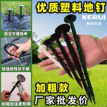 Plastic nail pull branch greenhouse greenhouse agricultural mulch nail sunshade net fruit gardening barbed ground nail