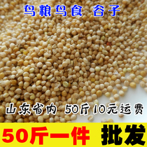 New yellow millet with shell millet tiger skin peony Xuanfeng small and medium-sized parrot bird food bird food bird feed 50 kg
