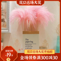 New natural pink Reed dried flower bouquet living room balcony desktop decoration ornaments shooting props Nordic style real flower