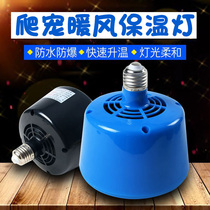 Hedgehog heating equipment warmer Small pet reptile Hamster insulation lamp heating fan Air conditioning fan lamp Lizard winter