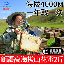 2 Jin Xinjiang high altitude Black Honey pure natural wild flowers portable small packaging soil honey pk Manuka