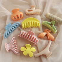 Large plate hair back of the head hairpin acetate grip clip Simple style clip headdress shark clip female Korean medium hairpin