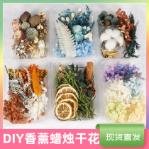 Dried flower aromatherapy candle DIY material special decorative wax petals DIY handmade wax brand natural plant red Qiaomei