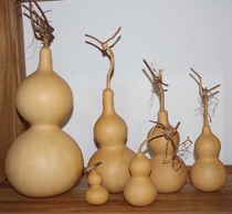 Natural gourd ornaments Chinese knots small gourd props play and lettering