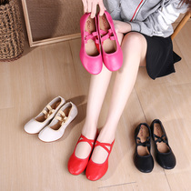 Purple rice snow dance shoes low heel soft bottom square dance women Summer leather Four Seasons Ballroom dance adult dance shoes flat bottom