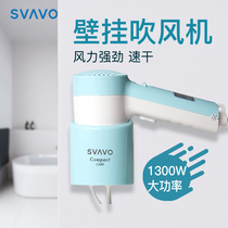Ruivo Hotel dedicated commercial Wall wall-mounted electric hair dryer toilet bathroom household hair dryer Blower
