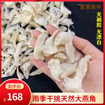 Foot dry Big Swallow horns Birds Nest Malaysia swiftlet rain season dry pick Swallow horns pregnant women collagen