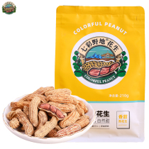 Colorful wild ripe peanut with shell 210gX2 bag Yunnan colorful peanut original fried peanut snack