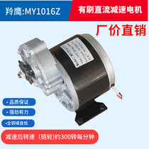 Antelope DC motor 12V24V250W350W deceleration Brush Motor MY1016Z2 unite same model