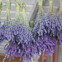 Dried Flower True Lavender Dry Bouquet Lavender Dry Flower Bouquet Home Decoration Anshen Gift Yili Lavender